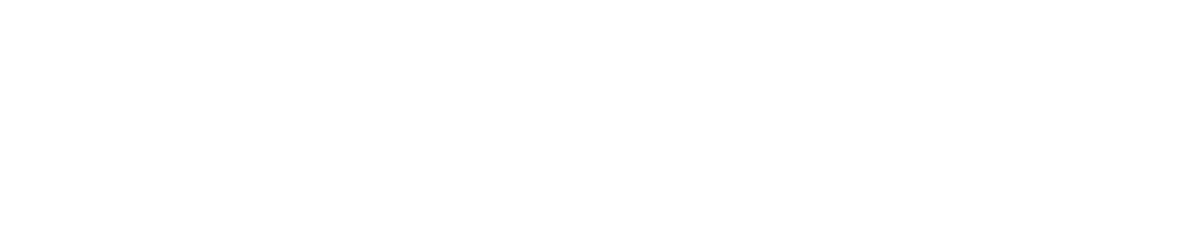 MSP NORD - SYSTEMHAUS SYLT